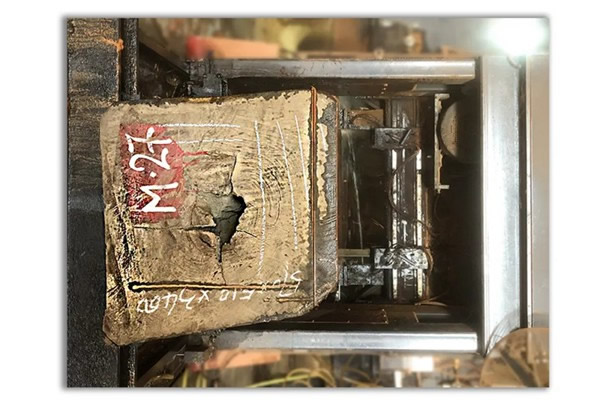 走進(jìn)東威利整裝，探尋緬甸花梨