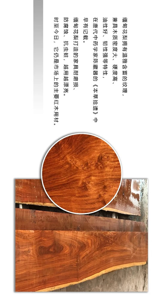 走進(jìn)東威利整裝，探尋緬甸花梨