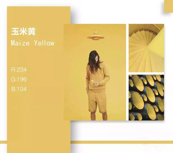 名雅居木門為大家案例數(shù)款家居配色方案
