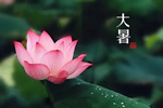 大暑已至，一一木門(mén)特制宅家指南送到！