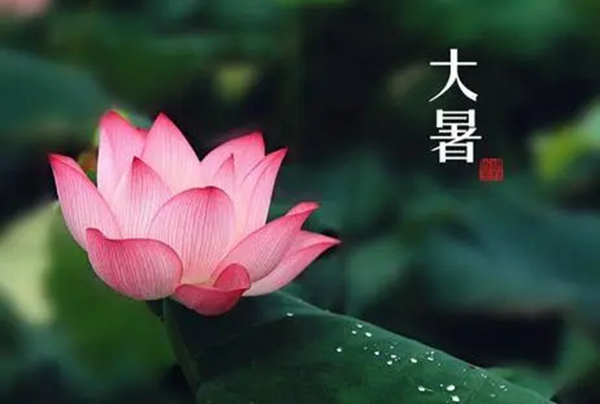 大暑已至，一一木門特制宅家指南送到！