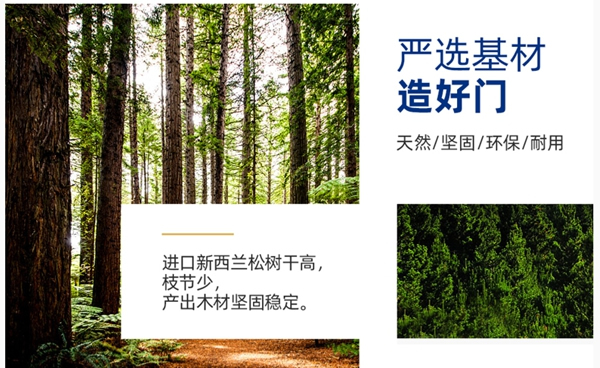 夢(mèng)天木門：木門發(fā)霉是怎么回事？發(fā)霉后怎么辦？
