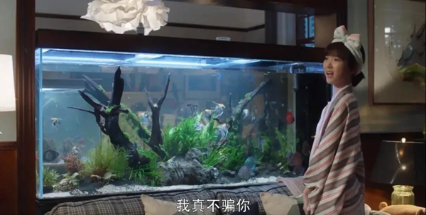尚品本色：深挖鐘曉芹的家，隱形的“富豪”級(jí)房產(chǎn)！