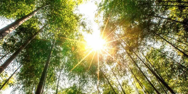 盛達(dá)家居：幸福就是如此簡單