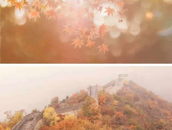 吾尋純木門：這個秋天，我“門”與你不期而遇！