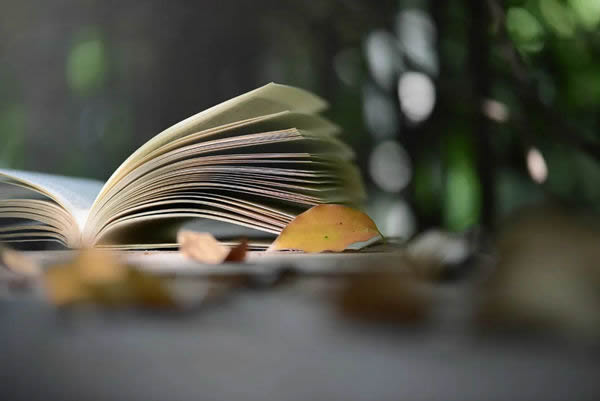 全簡(jiǎn)木門(mén)為空間注入了品質(zhì)感