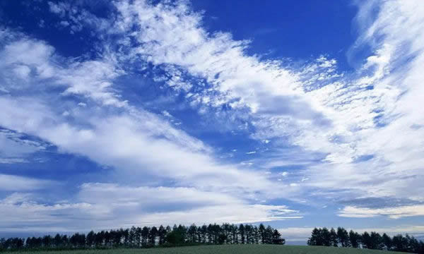 尚家木門：白門，是經(jīng)典的再現(xiàn)，也是潮流的前瞻