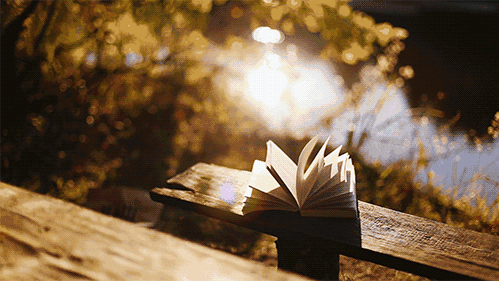 A8空間極簡(jiǎn)定制：一茶、一書，一“室”界，至簡(jiǎn)至美