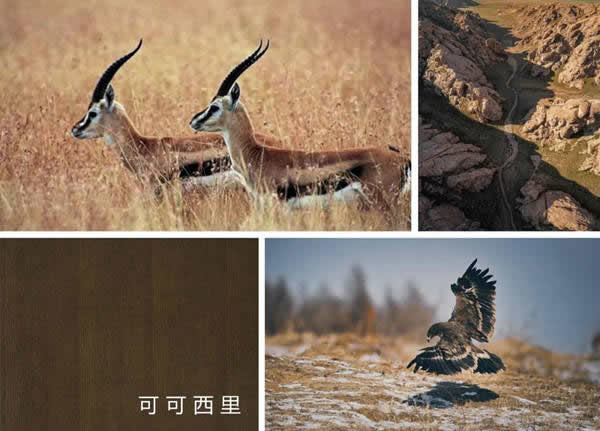 朗墅國際定制：可可西里的秋色，靜美如詩