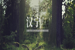 漢寧原木定制怎么樣？漢寧原木定制加盟優(yōu)勢(shì)