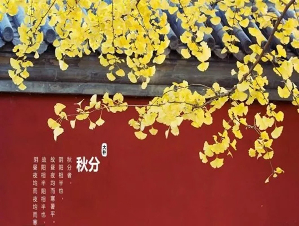林源木門：轉眼間，秋分已至