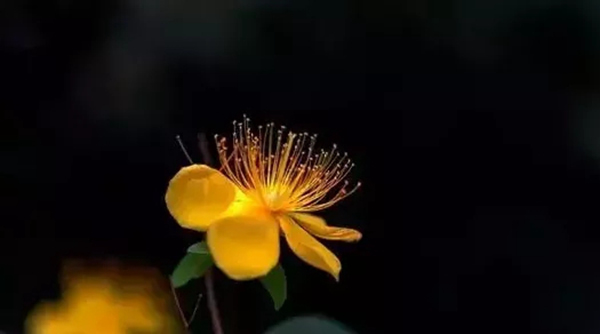 林源木門：轉眼間，秋分已至