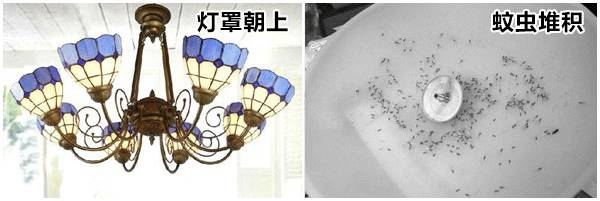 山杉木業(yè)：裝修時需注意的細節(jié)，從玄關(guān)到臥室都齊了！