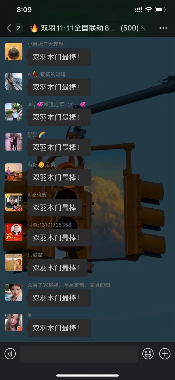 雙羽木門雙十一全國聯(lián)動(dòng)優(yōu)秀門店展示