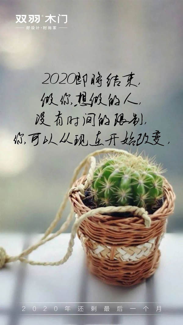 雙羽木門(mén) | 2020年最后一月再拼一把