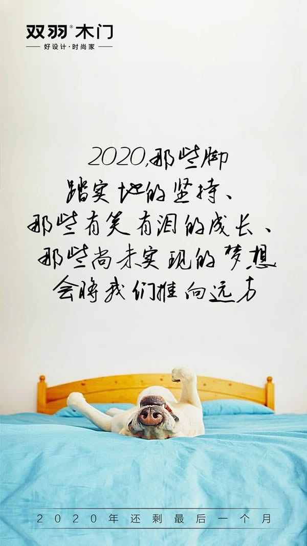 雙羽木門(mén) | 2020年最后一月再拼一把