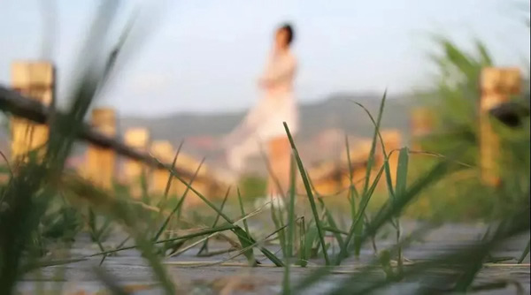 梵帝龍：2021將平凡變幻為高級，為家創(chuàng)作嶄新的詩篇