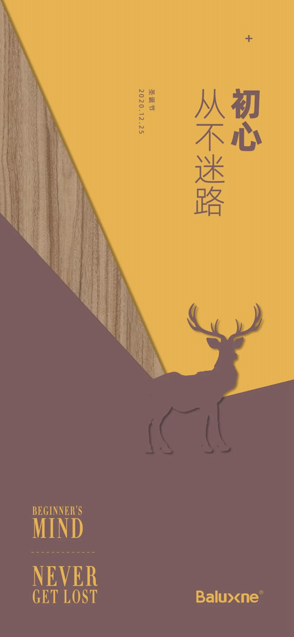 拜勒尼：圣誕節(jié)，守候初心，向上生長