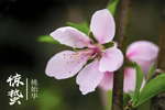 林源木業(yè)：驚雷始，萬物春