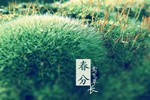 伊佳特木門，四季有春，春有朝晨