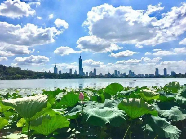 精藝木門免漆類產(chǎn)品，比重明顯提升