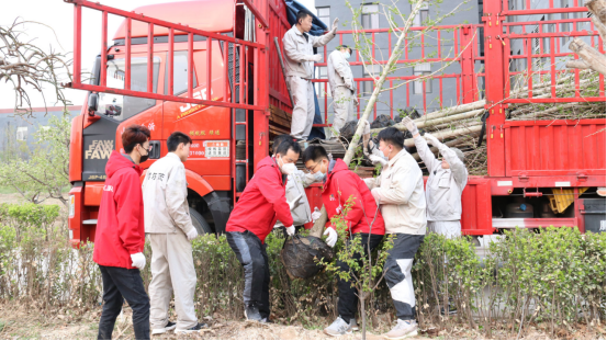 霍爾茨木門綠色植樹活動(dòng)圓滿結(jié)束