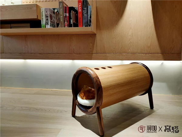 潤成創(chuàng)展：這只貓，竟然……賴在凳子上不走了！