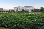 潤成創(chuàng)展聯(lián)動(dòng)洛果商貿(mào)走進(jìn)新潤成陶瓷參觀交流
