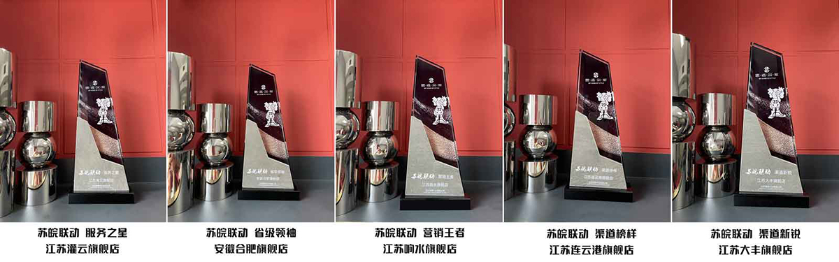 思諾爾家“蘇皖聯(lián)動，總裁價到”業(yè)績爭霸圓滿成功