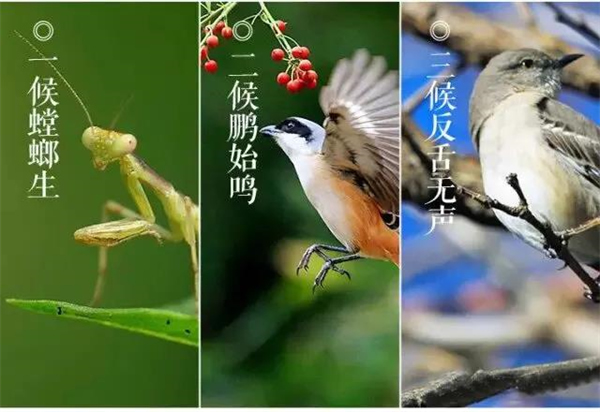 蔓茲堡木門給忙碌的你一個溫暖的家