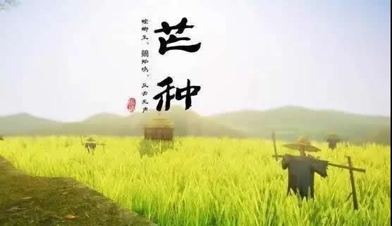 蔓茲堡木門給忙碌的你一個溫暖的家