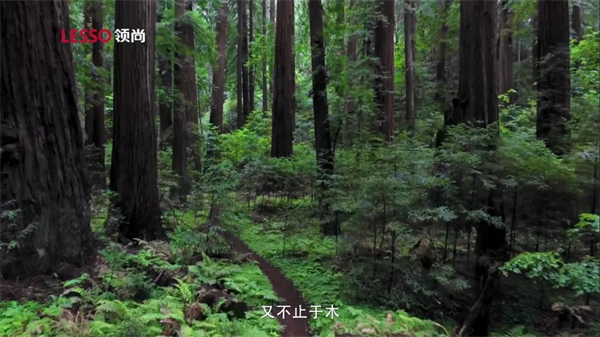 領(lǐng)尚木門 | 回歸本真，以居為安，質(zhì)享寧靜