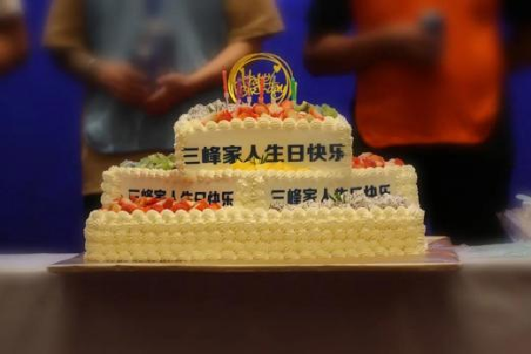 三峰家居丨全國卓越經(jīng)銷商聚首一堂，蓄力前行，誰與爭峰！