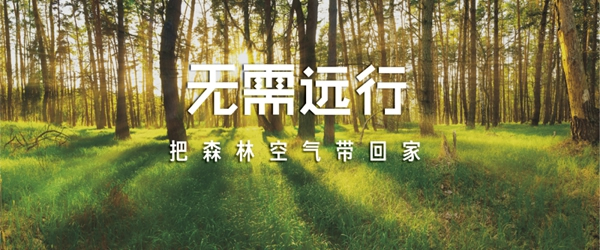 艾森格林木門(mén)告訴你：什么是負(fù)離子凈醛木門(mén)？