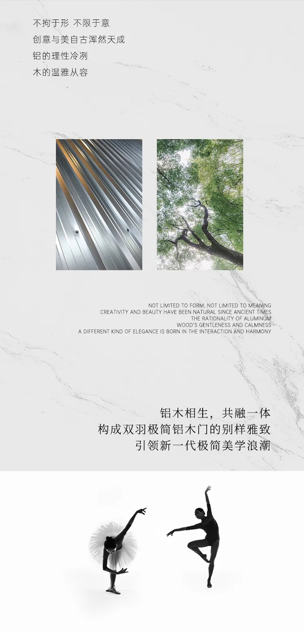 雙羽定制家新品即將上市：極之道 · 自無(wú)境