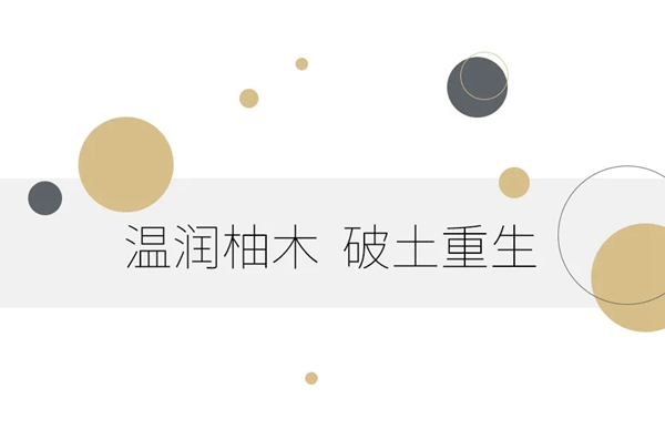 藝和高端門：怦然心動(dòng)的莫蘭迪色