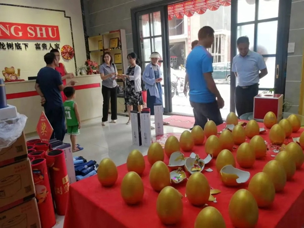 龍樹整屋門窗門業(yè)：爆發(fā)，源于19年的深耕!