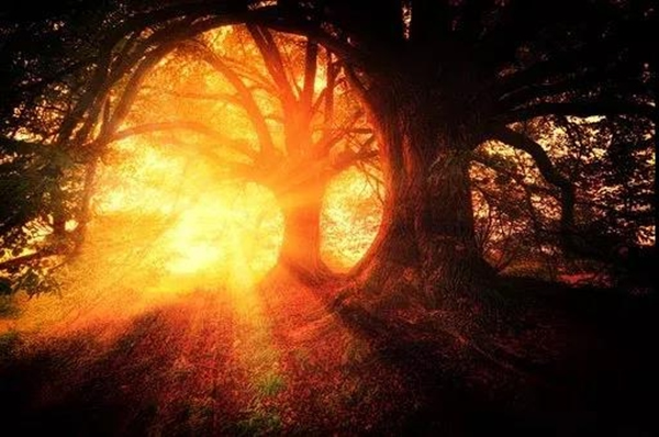 久盛地板愛木周 | 秋日，感受木帶來的溫暖