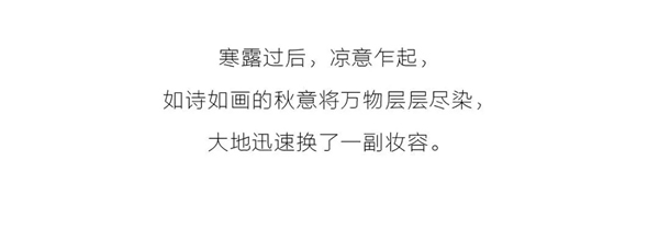 喬金斯整木定制：愛秋天，更愛家的秋意濃