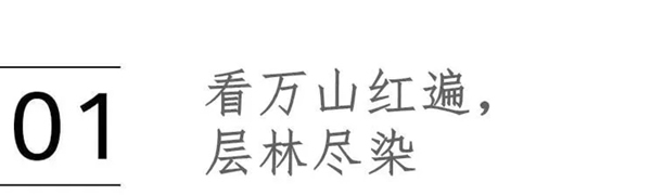 喬金斯整木定制：愛秋天，更愛家的秋意濃