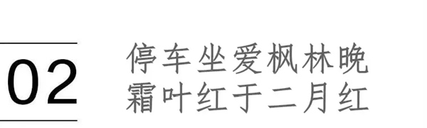 喬金斯整木定制：愛秋天，更愛家的秋意濃