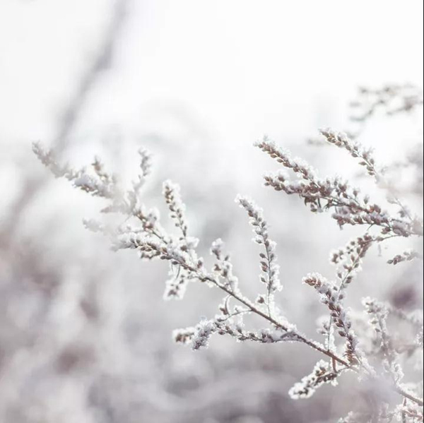 林源智慧家居 | 小雪將至，為您守護(hù)舒適溫暖家！