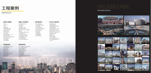 霍爾茨20年：揚(yáng)國(guó)企擔(dān)當(dāng)，成創(chuàng)新之業(yè)