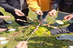 蔓茲堡天然系木門團(tuán)建回顧丨一路同行 不負(fù)時光