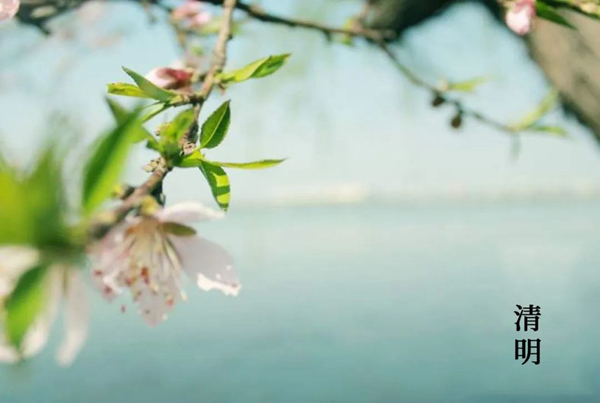 蔓茲堡天然系木門 | 清明時(shí)節(jié)祭親友，致敬緬懷再前行