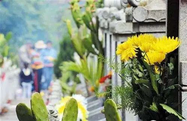 蔓茲堡天然系木門 | 清明時(shí)節(jié)祭親友，致敬緬懷再前行