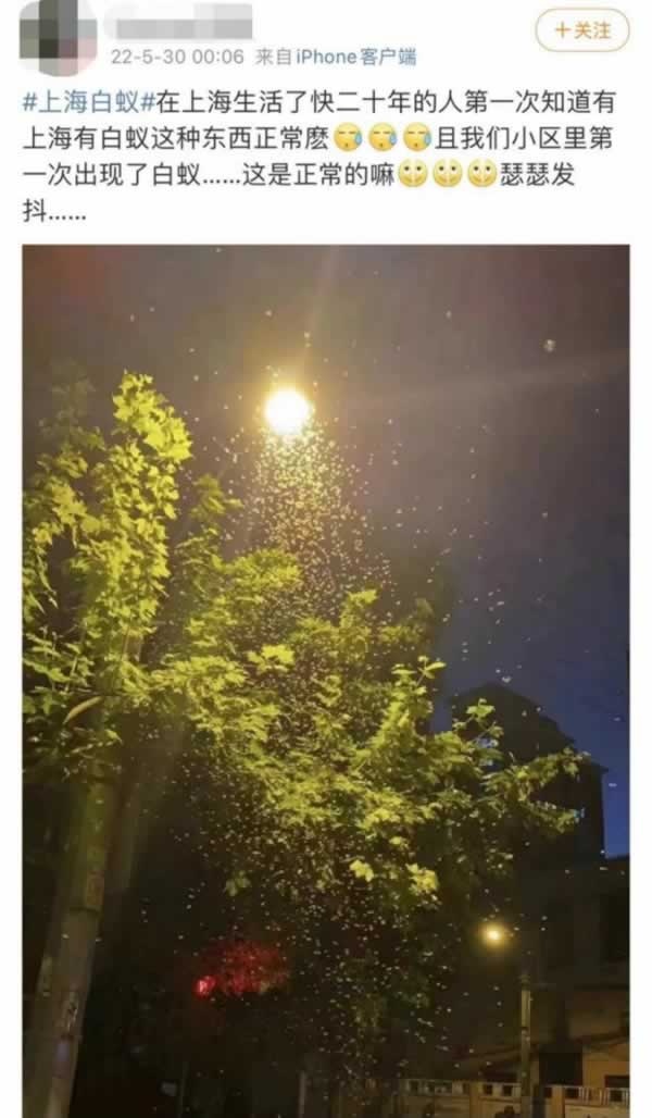 寶格潤(rùn)木門