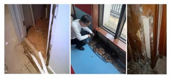寶格潤(rùn)木門