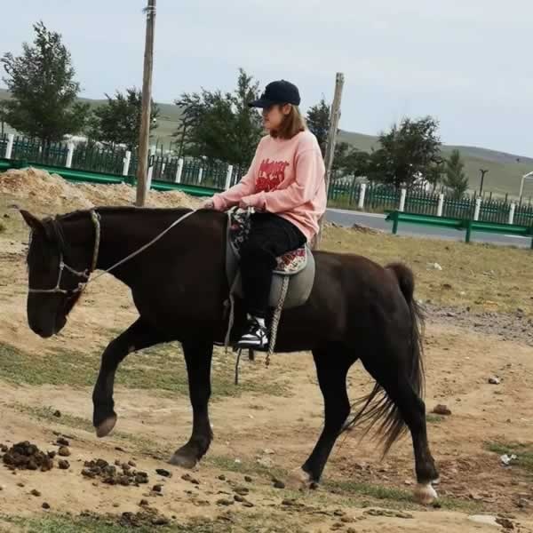兄弟木門
