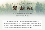 【一木定制】關(guān)于黑胡桃，你知道多少